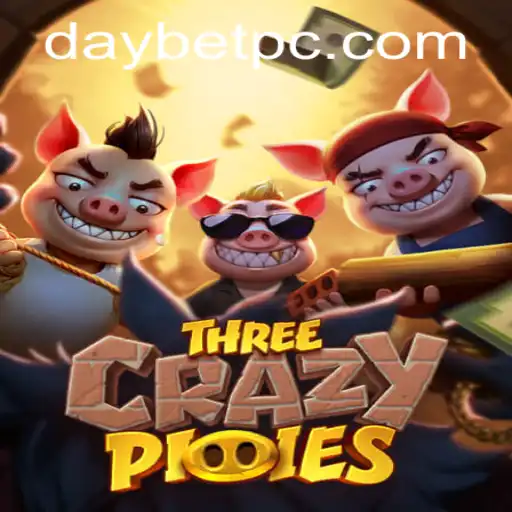 Engaging Adventure in ThreeCrazyPiggies